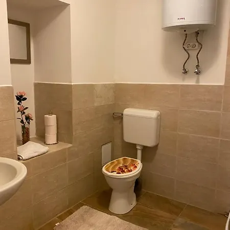 بيت ضيافة Virag Vendeghaz
