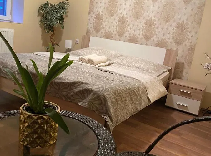 Virag Vendeghaz * Poroszló